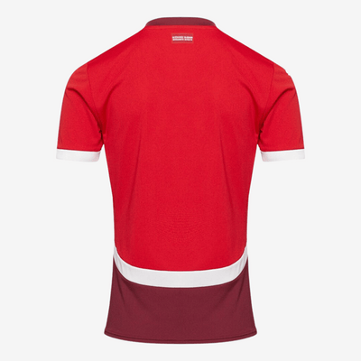 Camisa Puma Suiça 2024 I