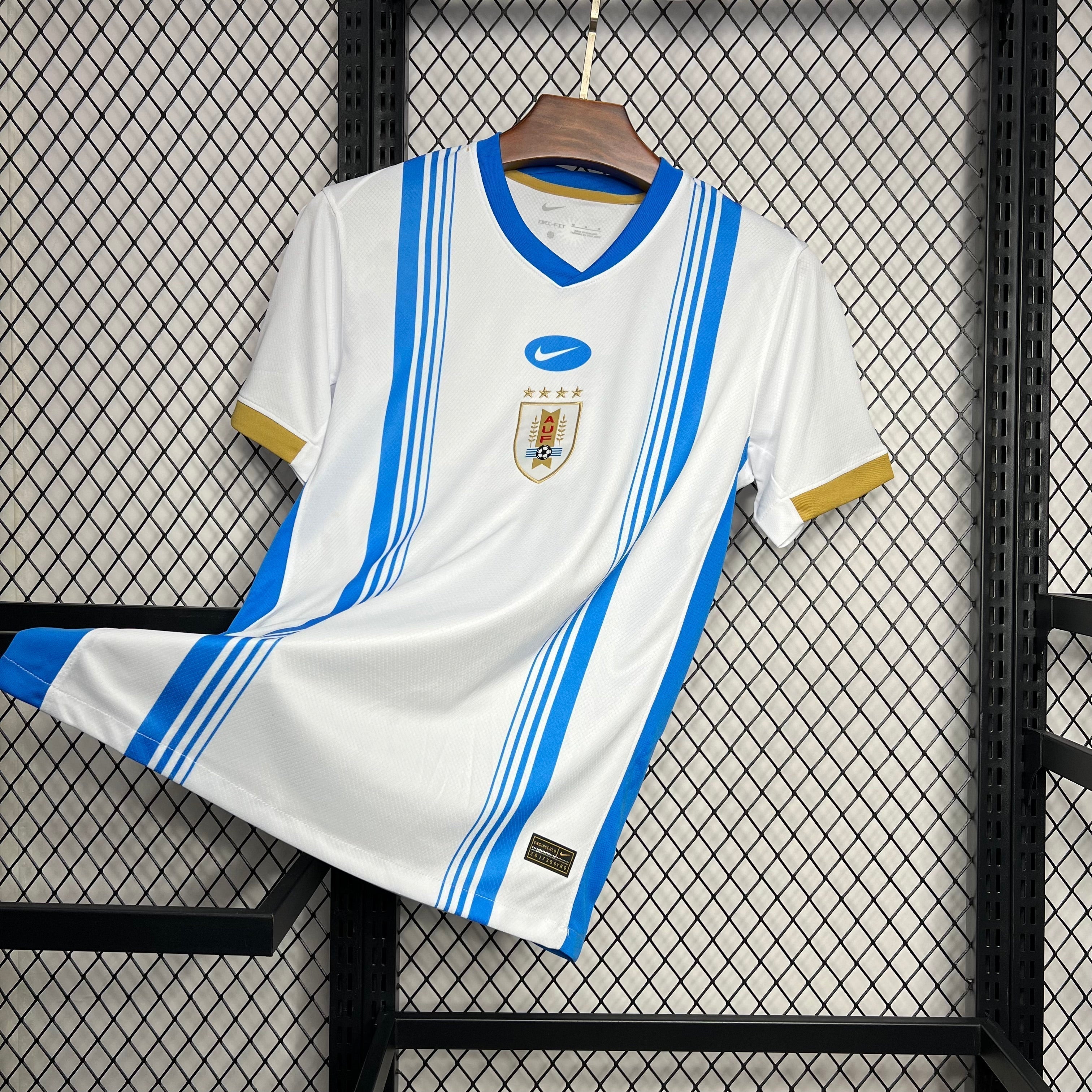 Camisa Uruguai Entrenamiento 24/25 - Versão Torcedor