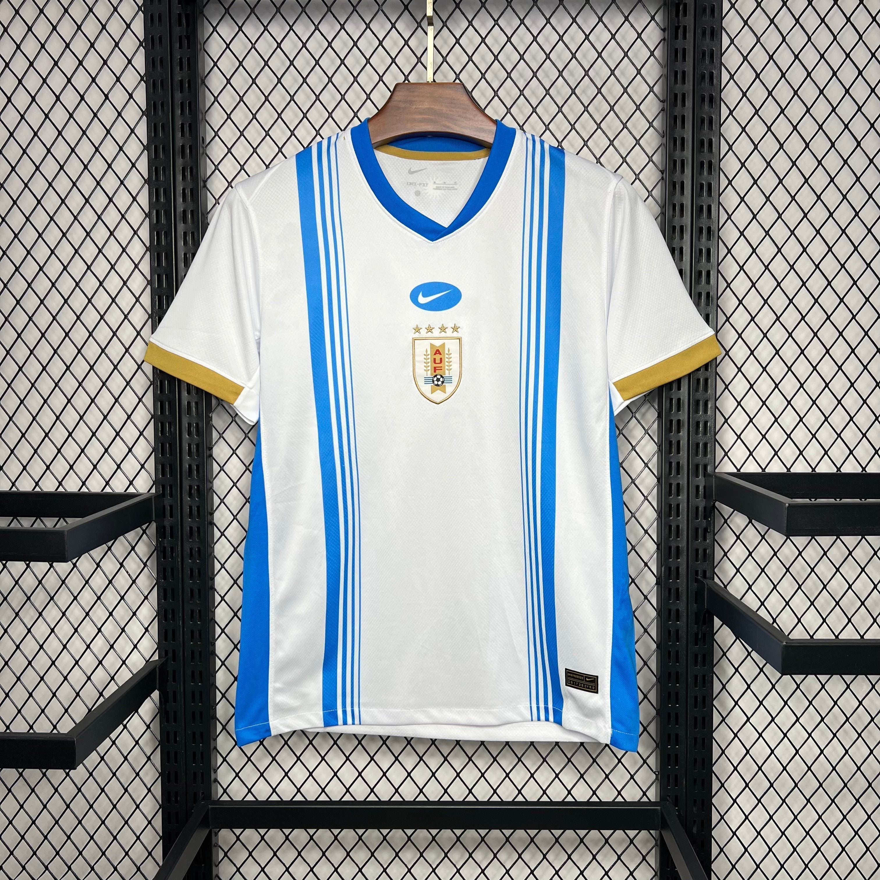 Camisa Uruguai Entrenamiento 24/25 - Versão Torcedor
